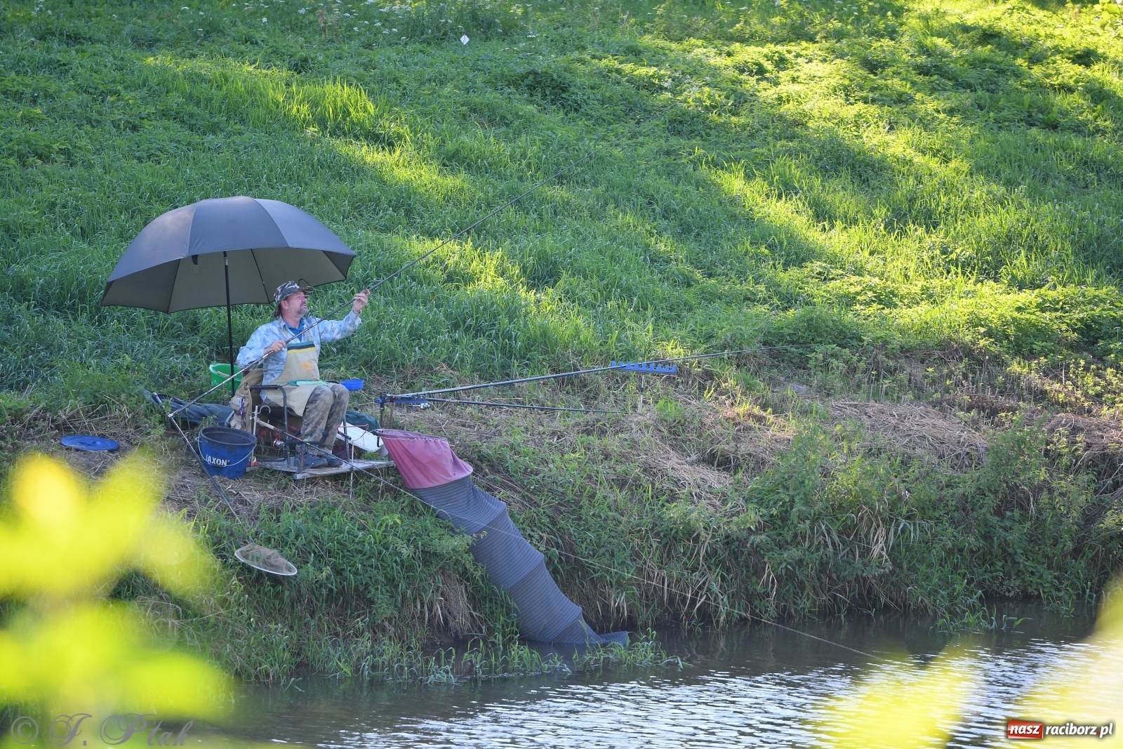Zdjęcie w galerii na portalu naszraciborz.pl: Zawody wędkarskie Odra 2020 za nami [FOTO] wiadomości z regionu