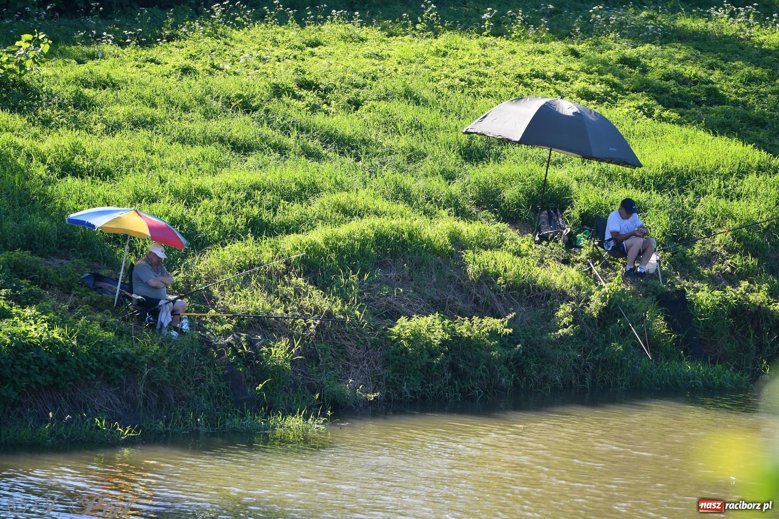 Zdjęcie w galerii na portalu naszraciborz.pl: Zawody wędkarskie Odra 2020 za nami [FOTO] wiadomości z regionu