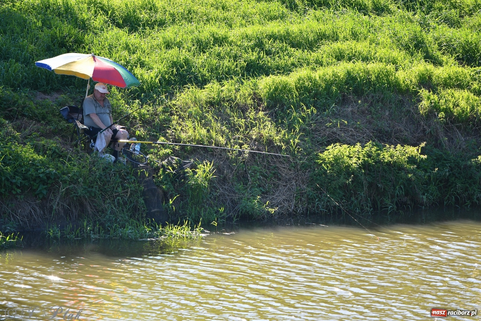 Zdjęcie w galerii na portalu naszraciborz.pl: Zawody wędkarskie Odra 2020 za nami [FOTO] wiadomości z regionu