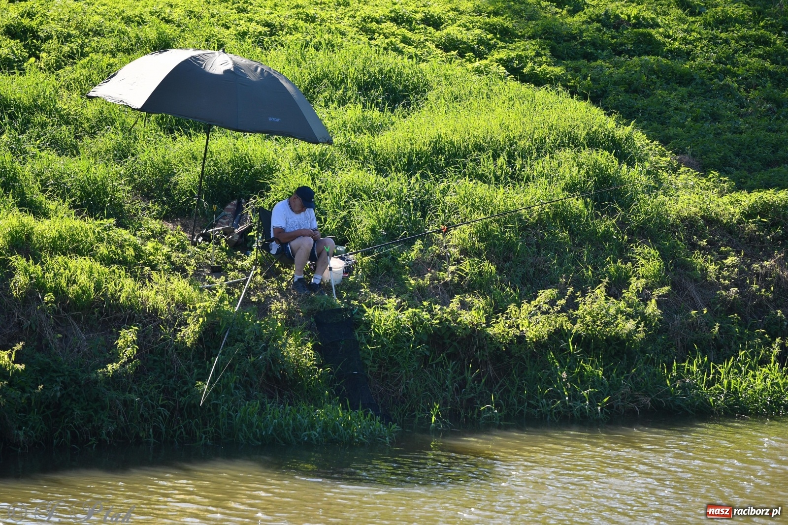 Zdjęcie w galerii na portalu naszraciborz.pl: Zawody wędkarskie Odra 2020 za nami [FOTO] wiadomości z regionu