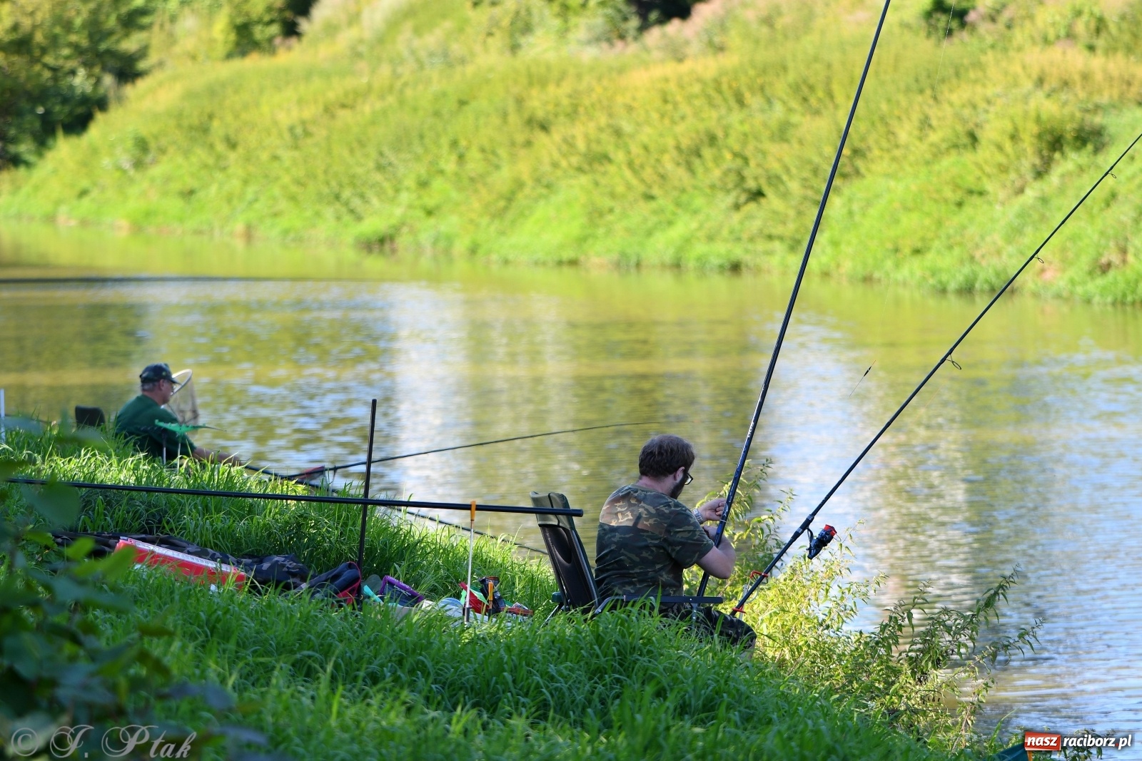 Zdjęcie w galerii na portalu naszraciborz.pl: Zawody wędkarskie Odra 2020 za nami [FOTO] wiadomości z regionu