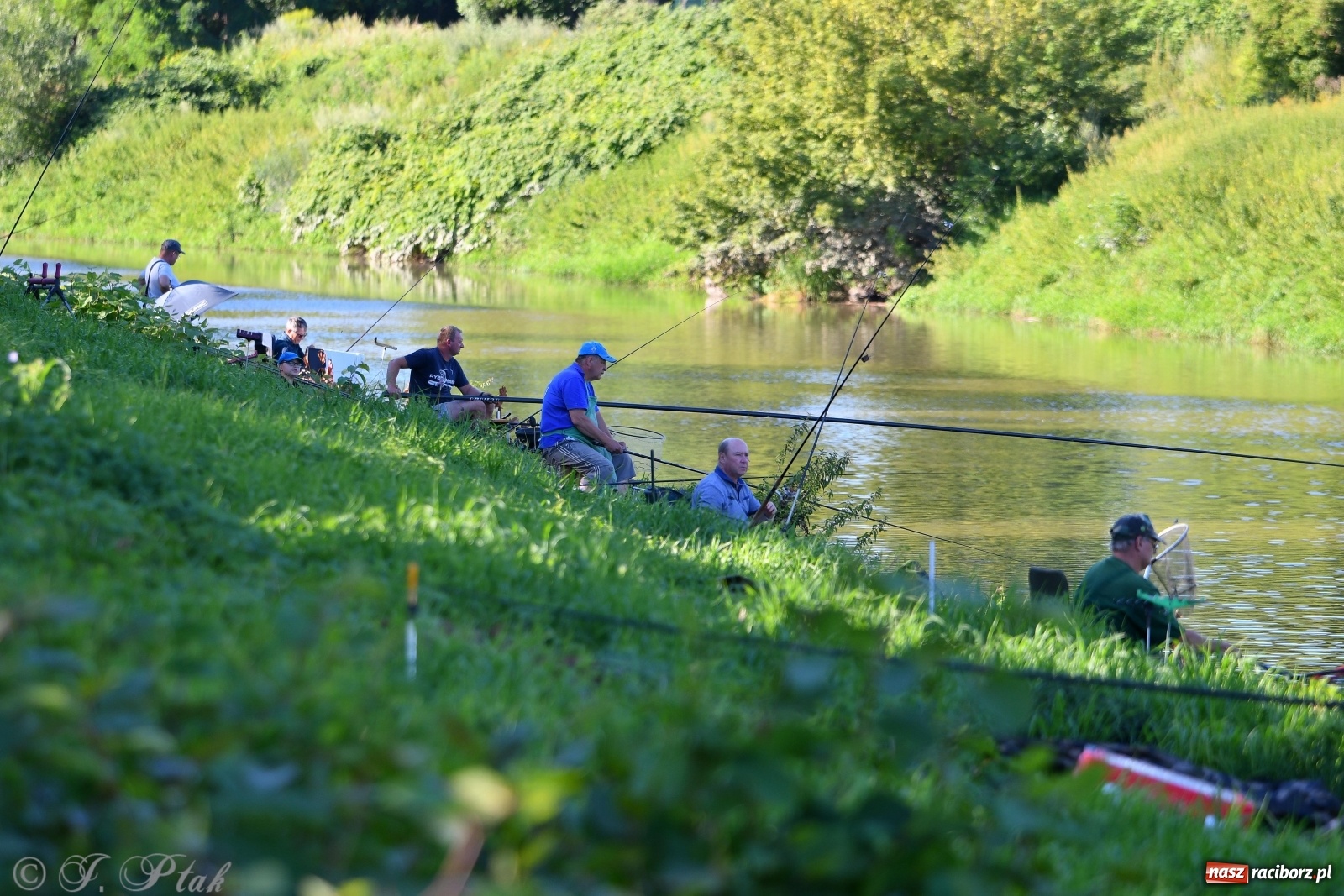 Zdjęcie w galerii na portalu naszraciborz.pl: Zawody wędkarskie Odra 2020 za nami [FOTO] wiadomości z regionu