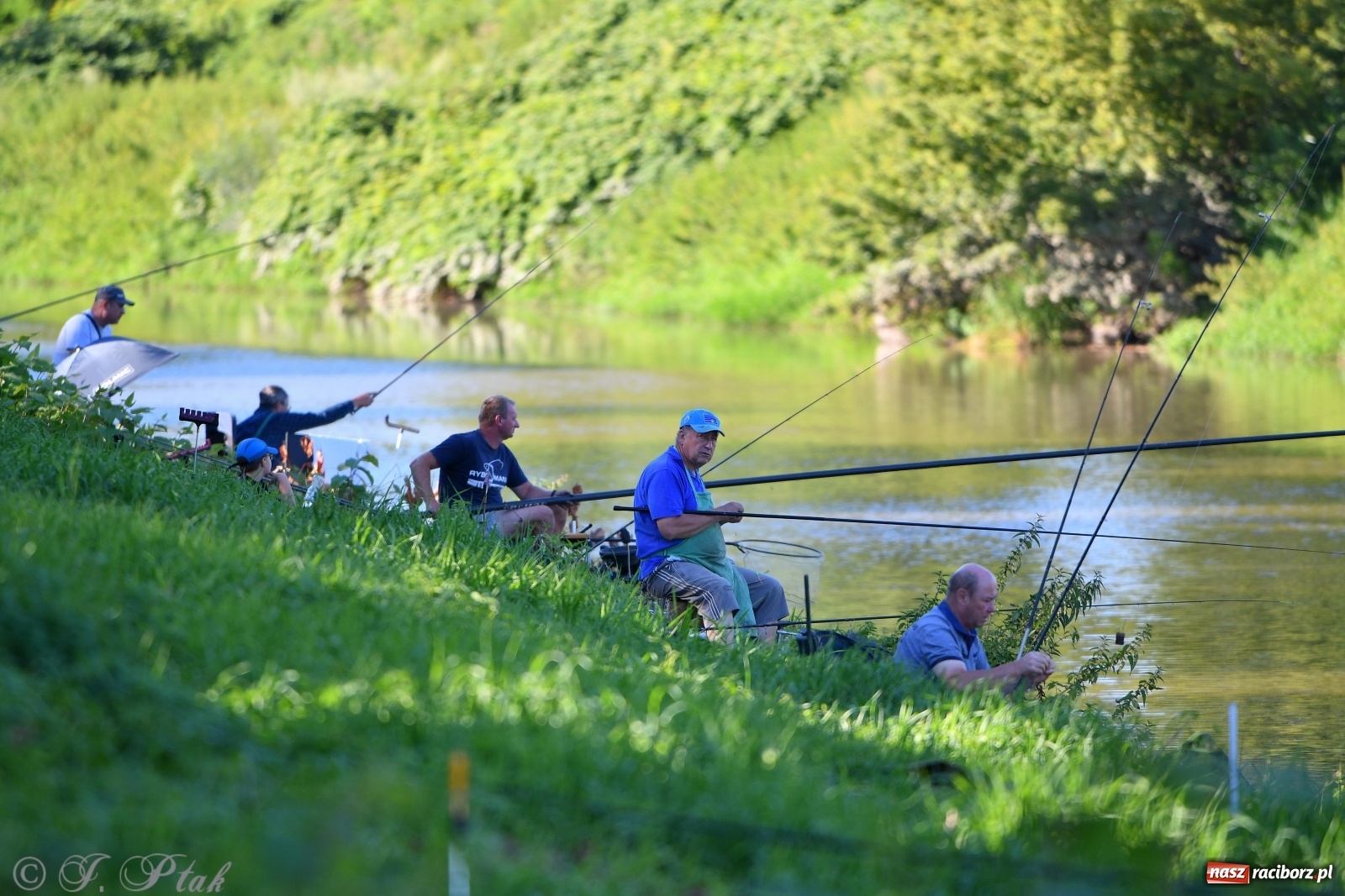 Zdjęcie w galerii na portalu naszraciborz.pl: Zawody wędkarskie Odra 2020 za nami [FOTO] wiadomości z regionu