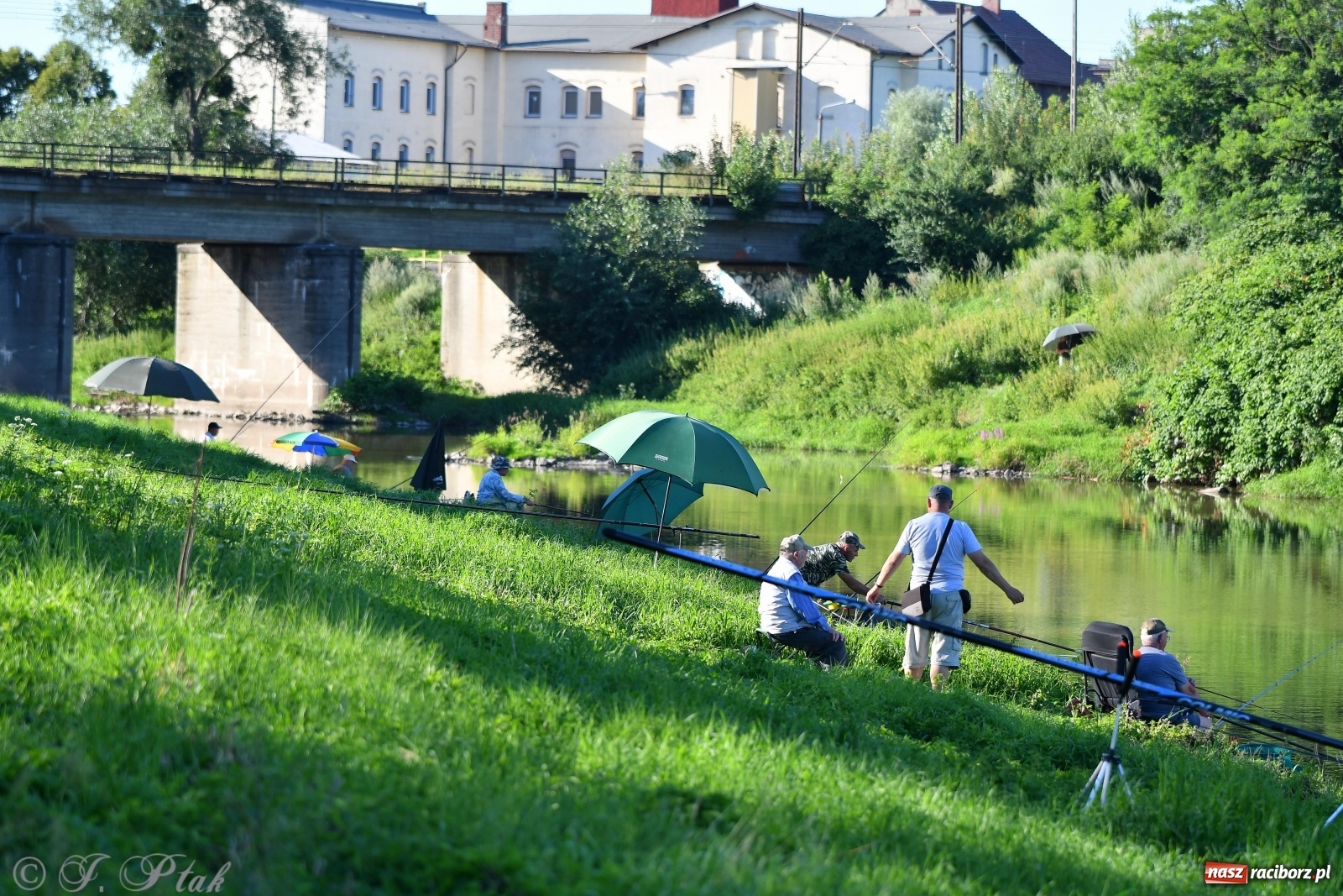 Zdjęcie w galerii na portalu naszraciborz.pl: Zawody wędkarskie Odra 2020 za nami [FOTO] wiadomości z regionu