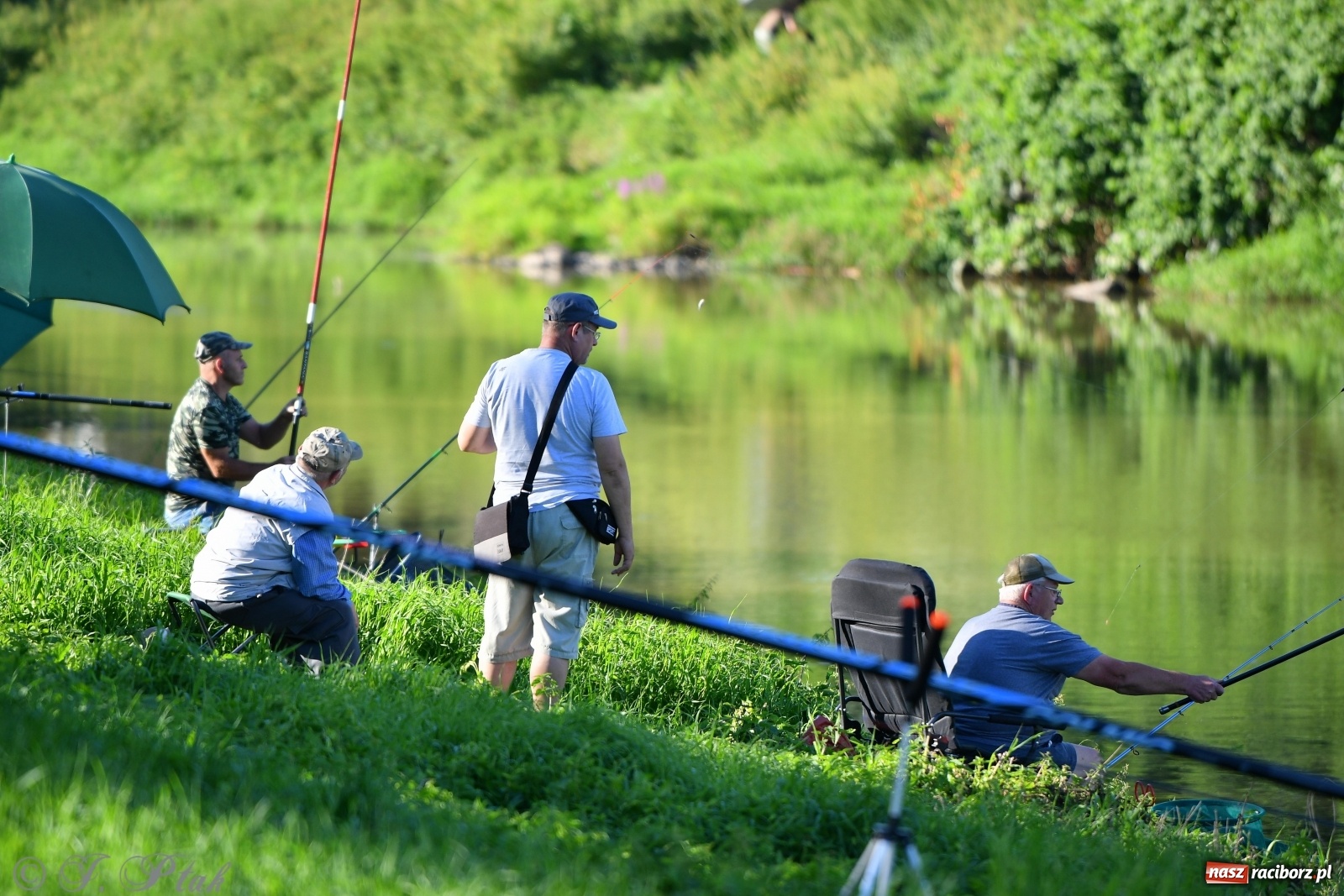 Zdjęcie w galerii na portalu naszraciborz.pl: Zawody wędkarskie Odra 2020 za nami [FOTO] wiadomości z regionu