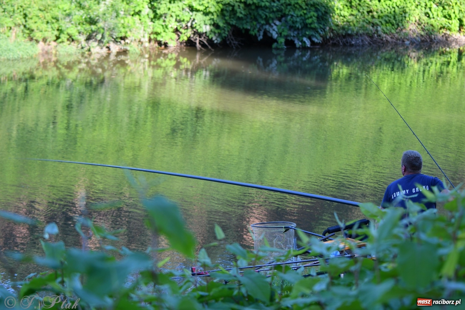 Zdjęcie w galerii na portalu naszraciborz.pl: Zawody wędkarskie Odra 2020 za nami [FOTO] wiadomości z regionu