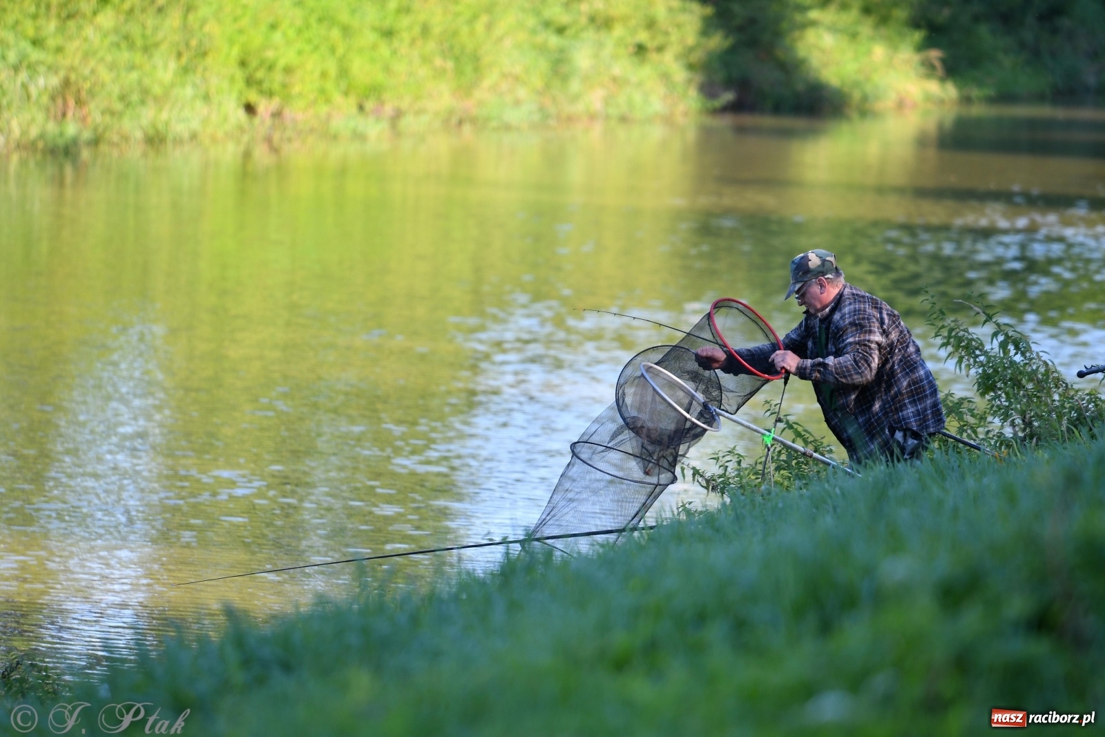 Zdjęcie w galerii na portalu naszraciborz.pl: Zawody wędkarskie Odra 2020 za nami [FOTO] wiadomości z regionu