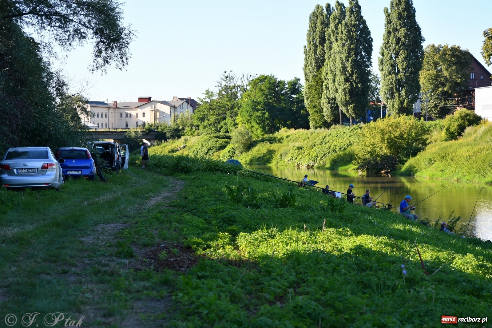 Zdjęcie w galerii na portalu naszraciborz.pl: Zawody wędkarskie Odra 2020 za nami [FOTO] wiadomości z regionu