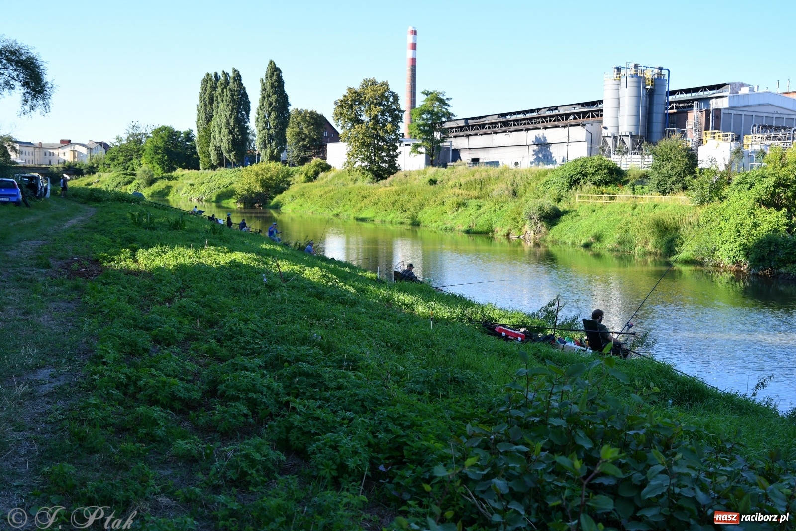 Zdjęcie w galerii na portalu naszraciborz.pl: Zawody wędkarskie Odra 2020 za nami [FOTO] wiadomości z regionu
