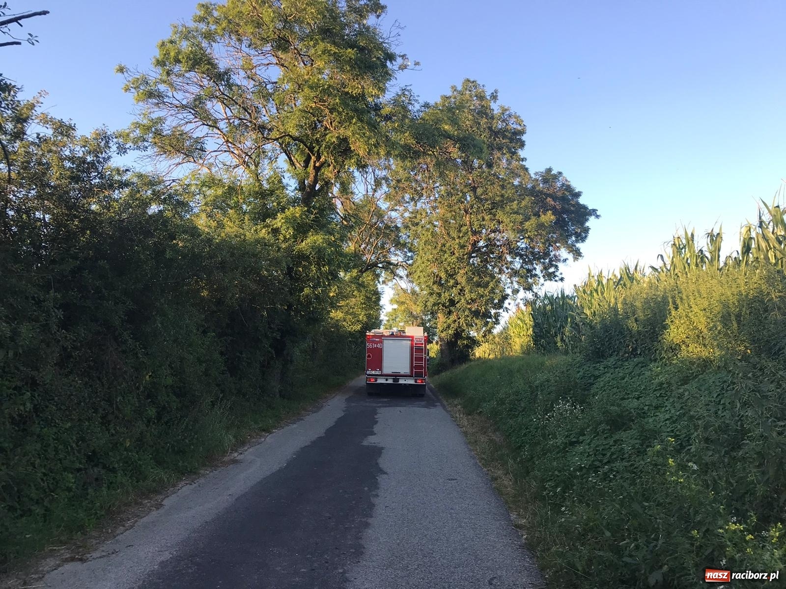 Zdjęcie w galerii na portalu naszraciborz.pl: Groźny wypadek rowerzysty na trasie Cyprzanów-Żerdziny. Lądował śmigłowiec LPR wiadomości z regionu