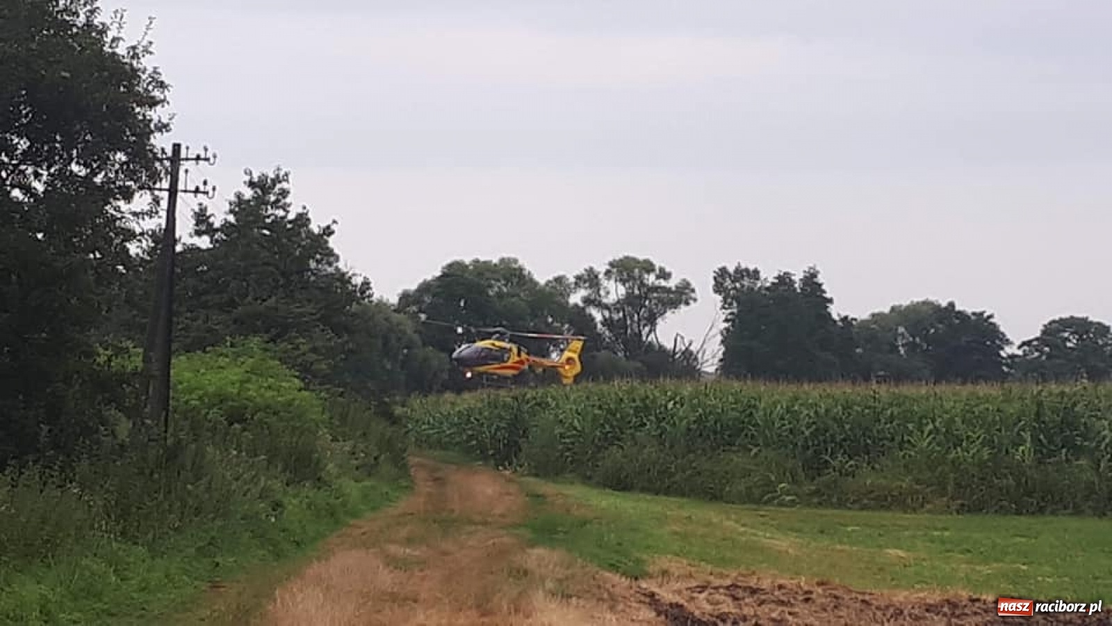 Zdjęcie w galerii na portalu naszraciborz.pl: LPR w Krzanowicach. Pożar samochodu na mycie  wiadomości z regionu
