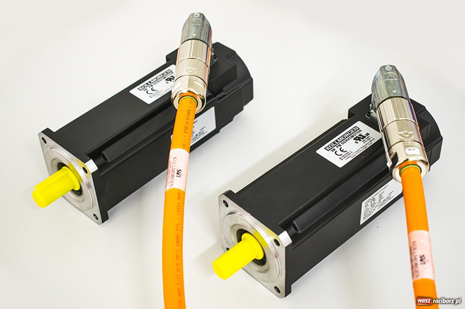 Zdjęcie w galerii na portalu naszraciborz.pl: Firma Pivexin Technology zatrudni pracowników wiadomości z regionu