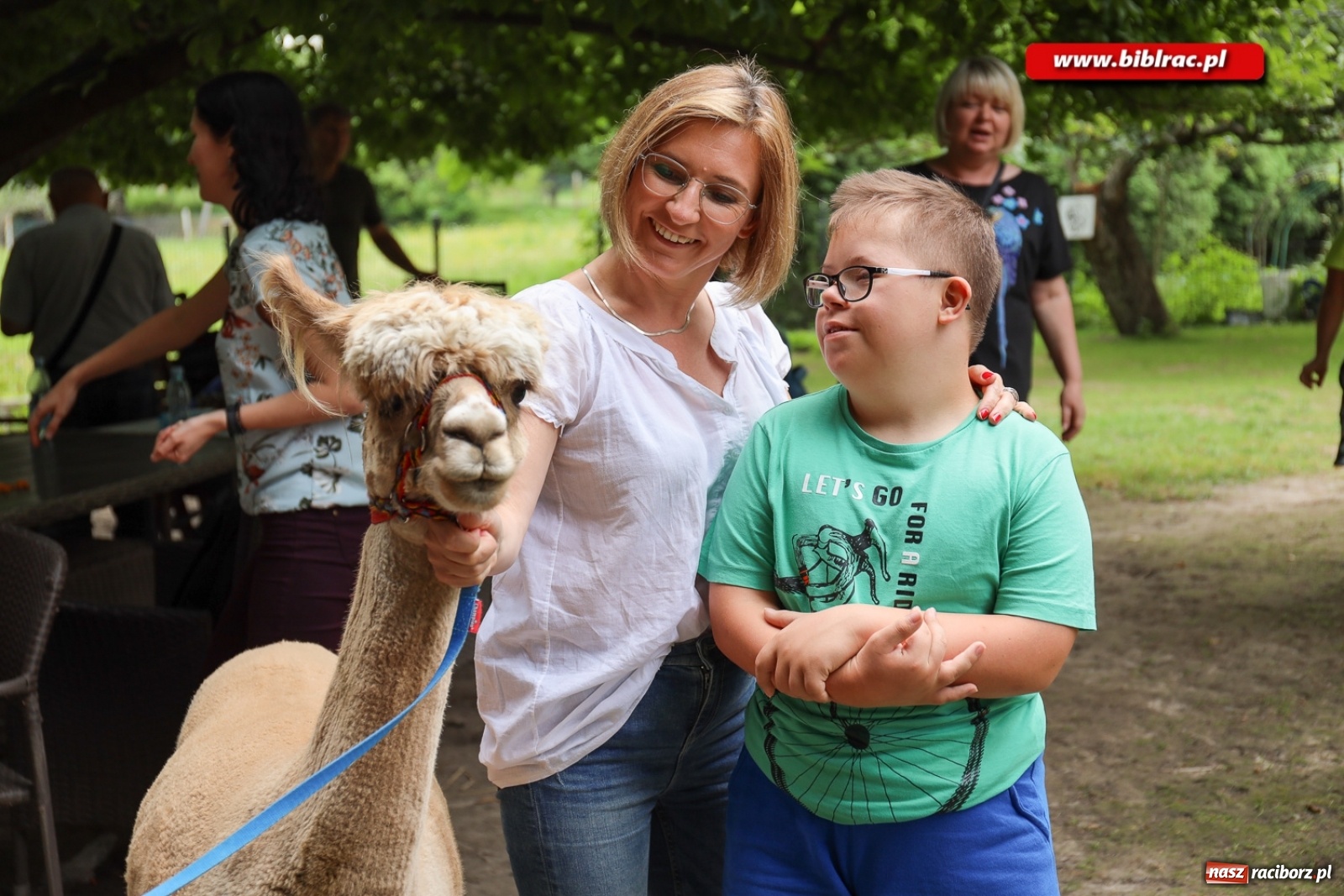 Zdjęcie w galerii na portalu naszraciborz.pl: Przytul się do alpaki! Uczestnicy Lata z biblioteką na wycieczce w Woźniakówce  wiadomości z regionu