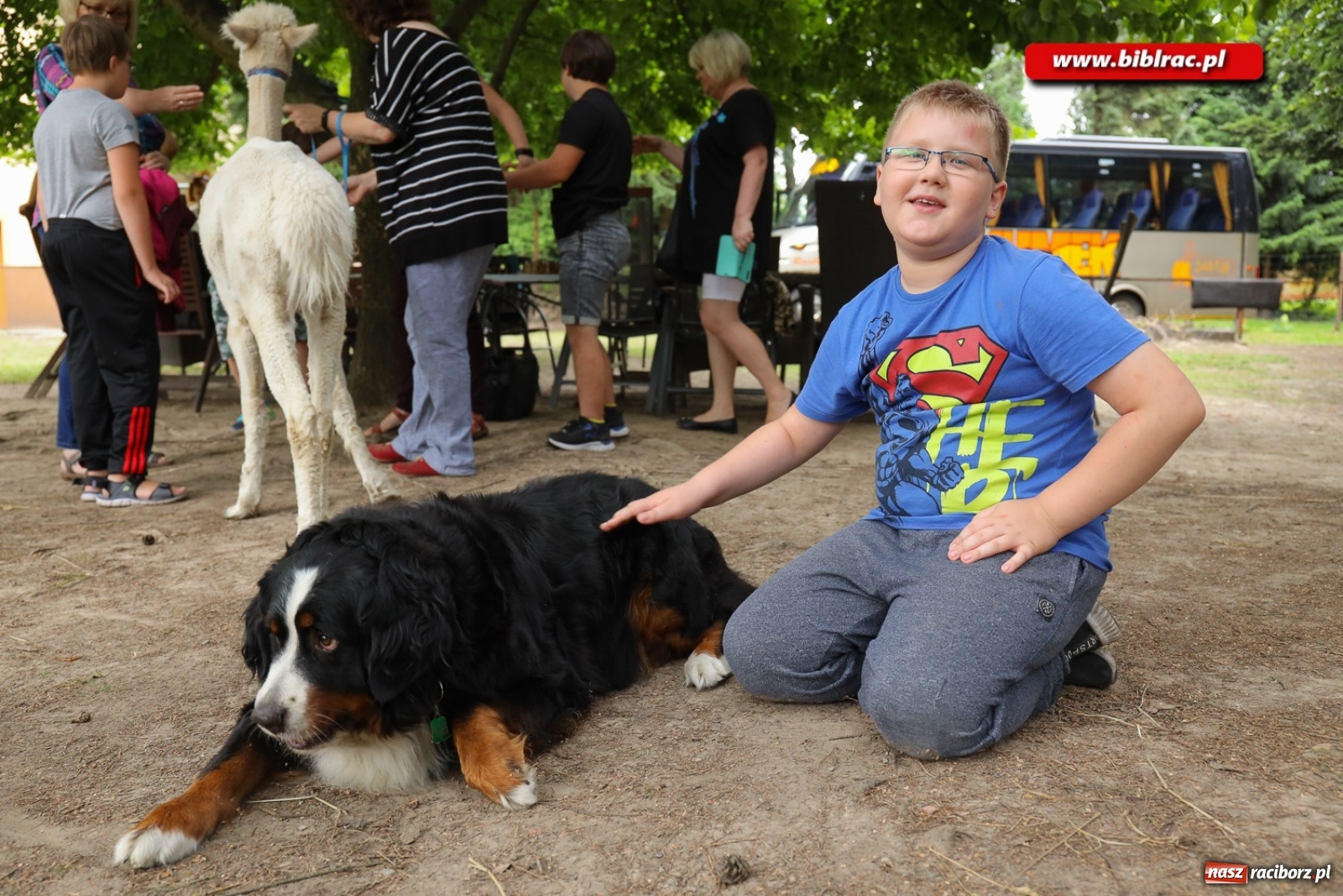 Zdjęcie w galerii na portalu naszraciborz.pl: Przytul się do alpaki! Uczestnicy Lata z biblioteką na wycieczce w Woźniakówce  wiadomości z regionu