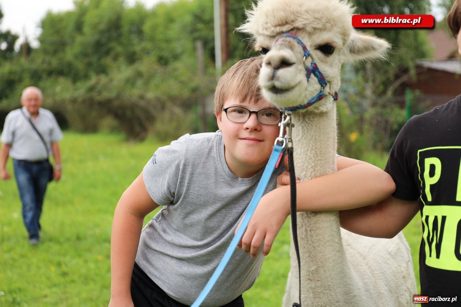 Zdjęcie w galerii na portalu naszraciborz.pl: Przytul się do alpaki! Uczestnicy Lata z biblioteką na wycieczce w Woźniakówce  wiadomości z regionu