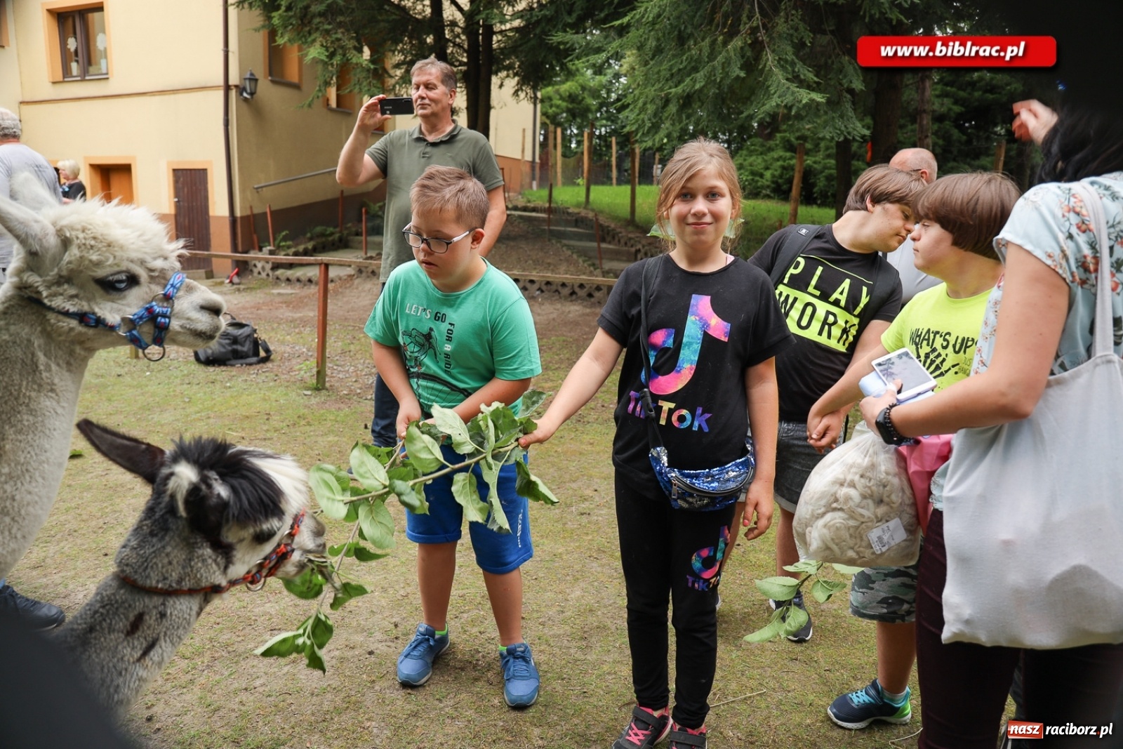 Zdjęcie w galerii na portalu naszraciborz.pl: Przytul się do alpaki! Uczestnicy Lata z biblioteką na wycieczce w Woźniakówce  wiadomości z regionu