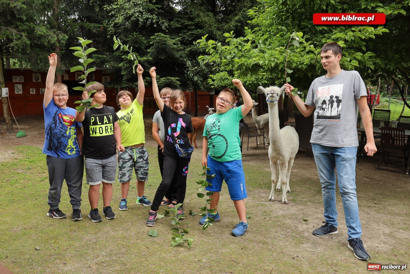 Zdjęcie w galerii na portalu naszraciborz.pl: Przytul się do alpaki! Uczestnicy Lata z biblioteką na wycieczce w Woźniakówce  wiadomości z regionu