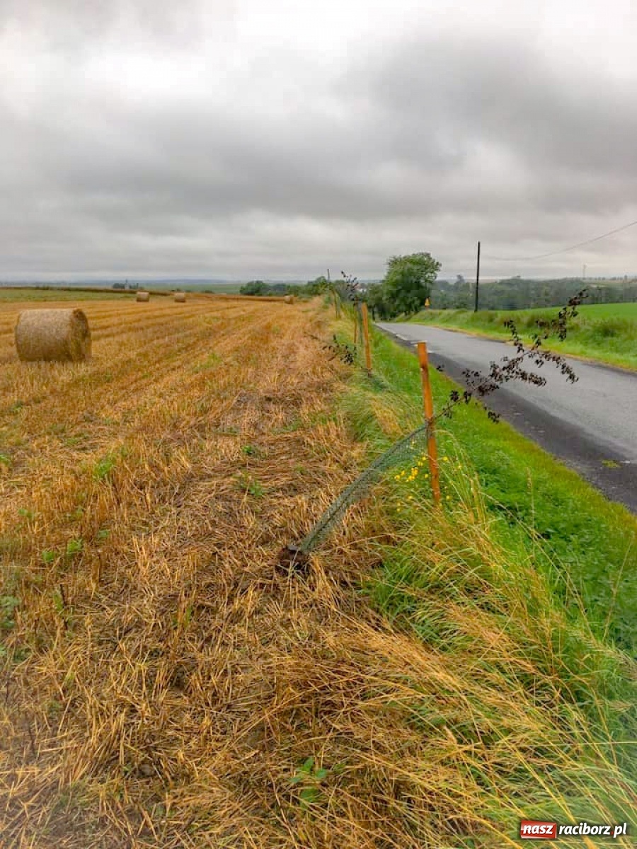 Zdjęcie w galerii na portalu naszraciborz.pl: Dewastacja pomiędzy Krowiarkami a Makowem. Starosta zgłosi sprawę policji  wiadomości z regionu