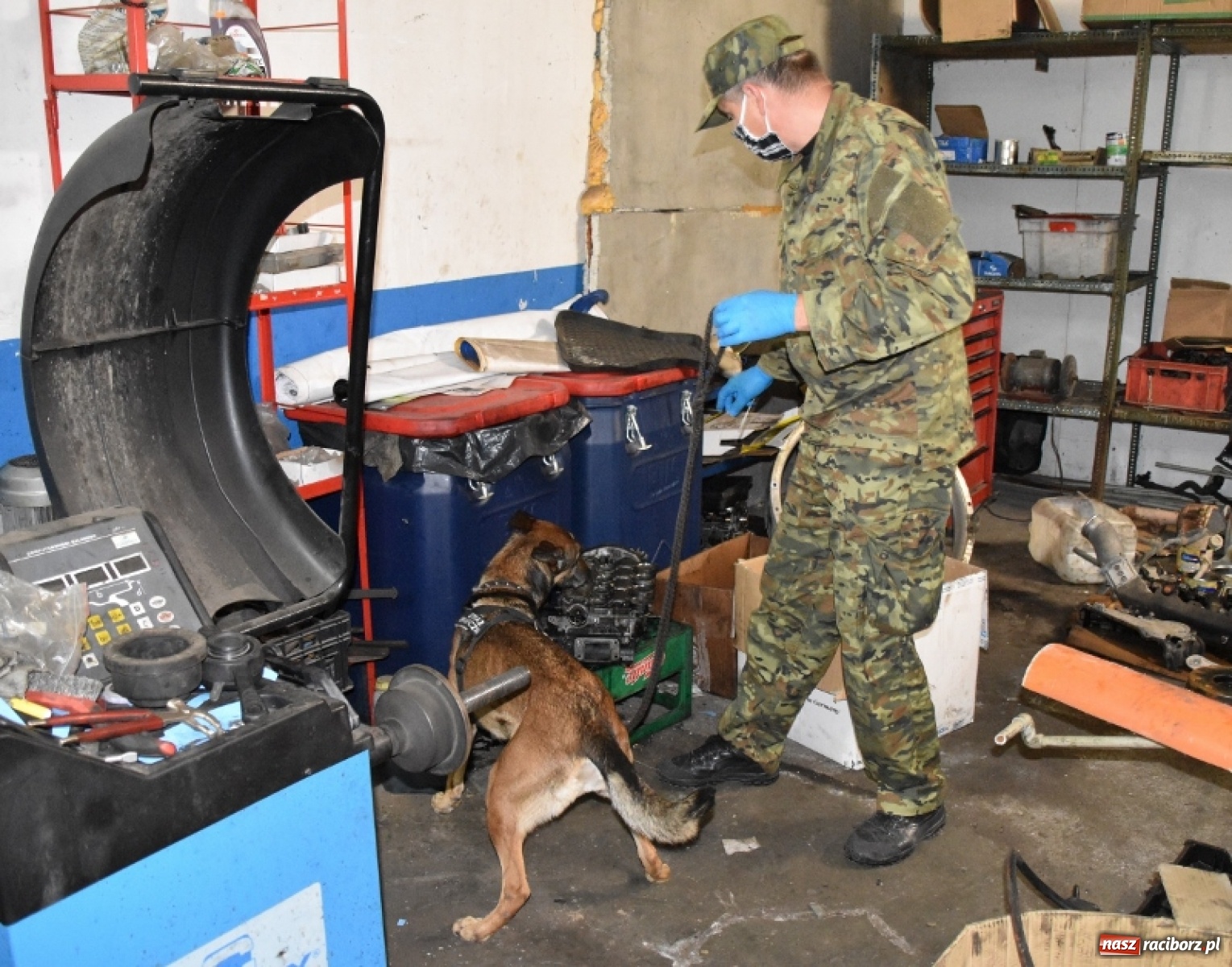 Zdjęcie w galerii na portalu naszraciborz.pl: Pogranicznicy z Raciborza uderzyli w nielegalny interes narkotykowy [FOTO] wiadomości z regionu