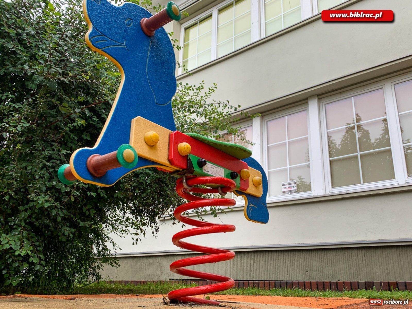 Zdjęcie w galerii na portalu naszraciborz.pl: Przygoda z fotografią w bibliotece w Ocicach  wiadomości z regionu