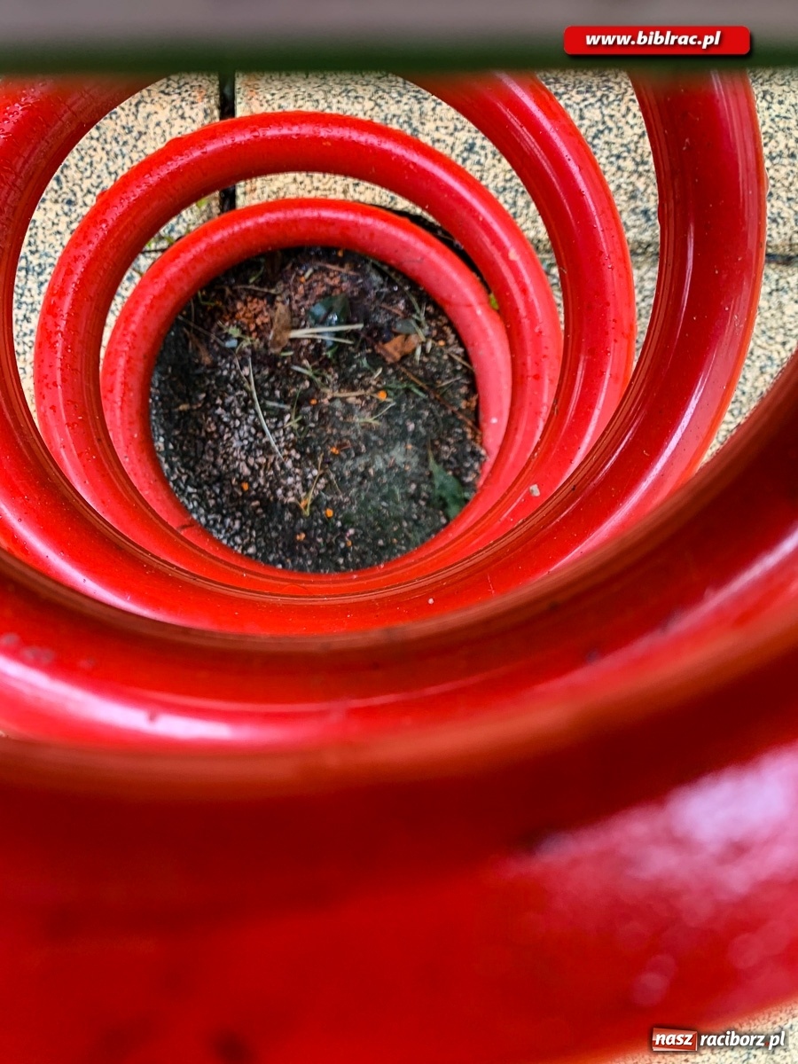 Zdjęcie w galerii na portalu naszraciborz.pl: Przygoda z fotografią w bibliotece w Ocicach  wiadomości z regionu