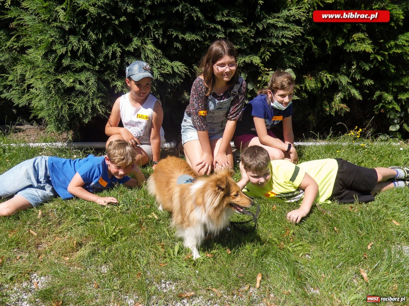 Zdjęcie w galerii na portalu naszraciborz.pl: Dogoterapia i afrykańska przygoda, czyli lato z biblioteką w Markowicach  wiadomości z regionu