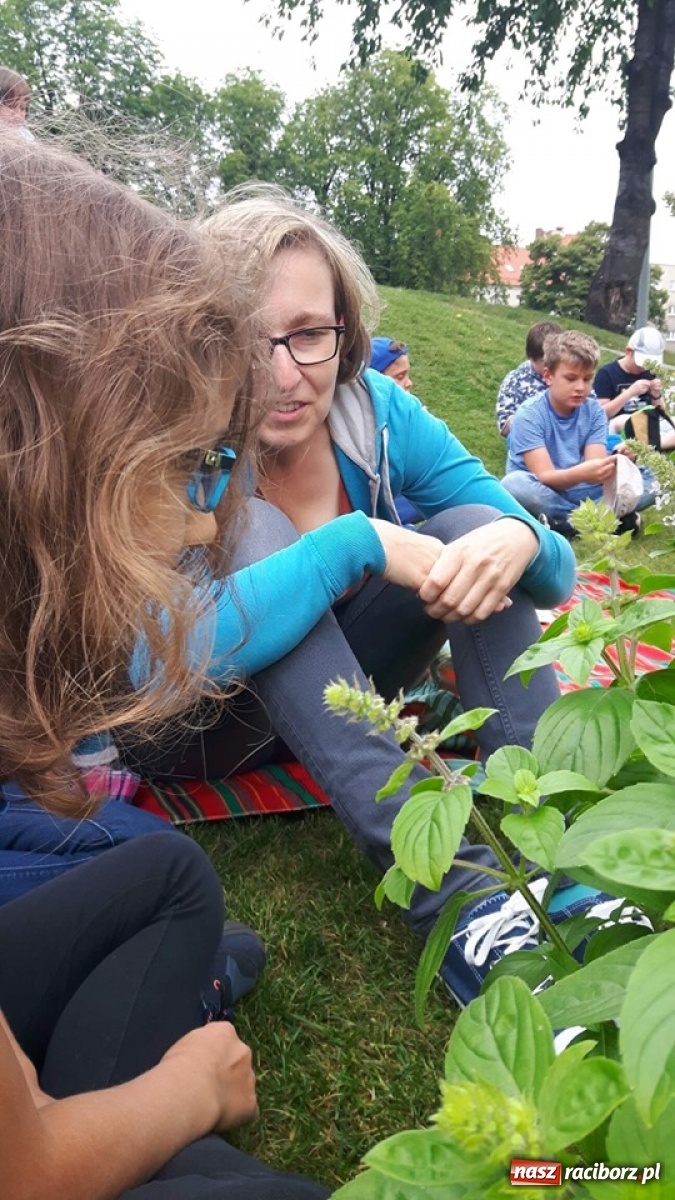 Zdjęcie w galerii na portalu naszraciborz.pl: Niezłe ziółko w ramach Lata w mieście 2020 wiadomości z regionu