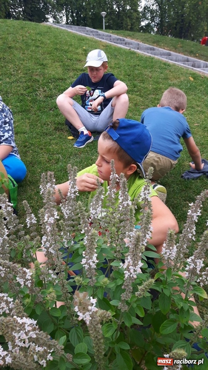 Zdjęcie w galerii na portalu naszraciborz.pl: Niezłe ziółko w ramach Lata w mieście 2020 wiadomości z regionu