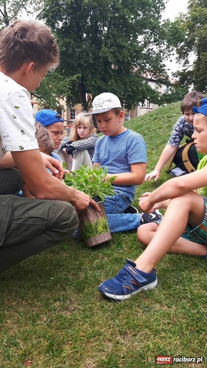 Zdjęcie w galerii na portalu naszraciborz.pl: Niezłe ziółko w ramach Lata w mieście 2020 wiadomości z regionu