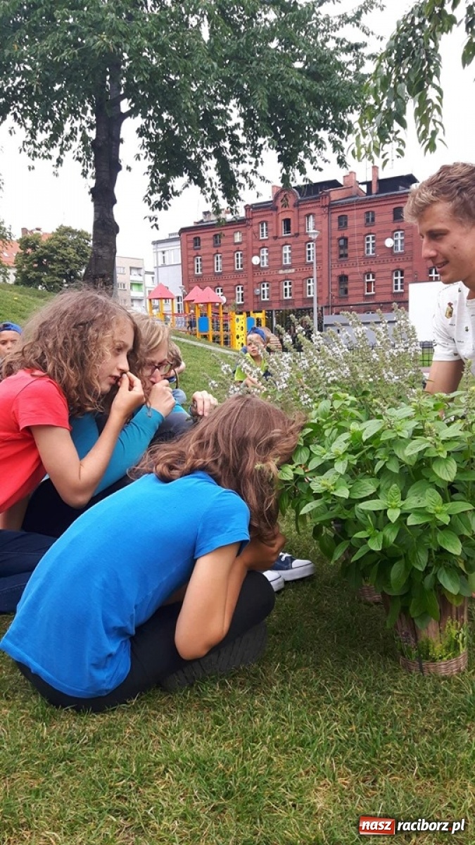 Zdjęcie w galerii na portalu naszraciborz.pl: Niezłe ziółko w ramach Lata w mieście 2020 wiadomości z regionu