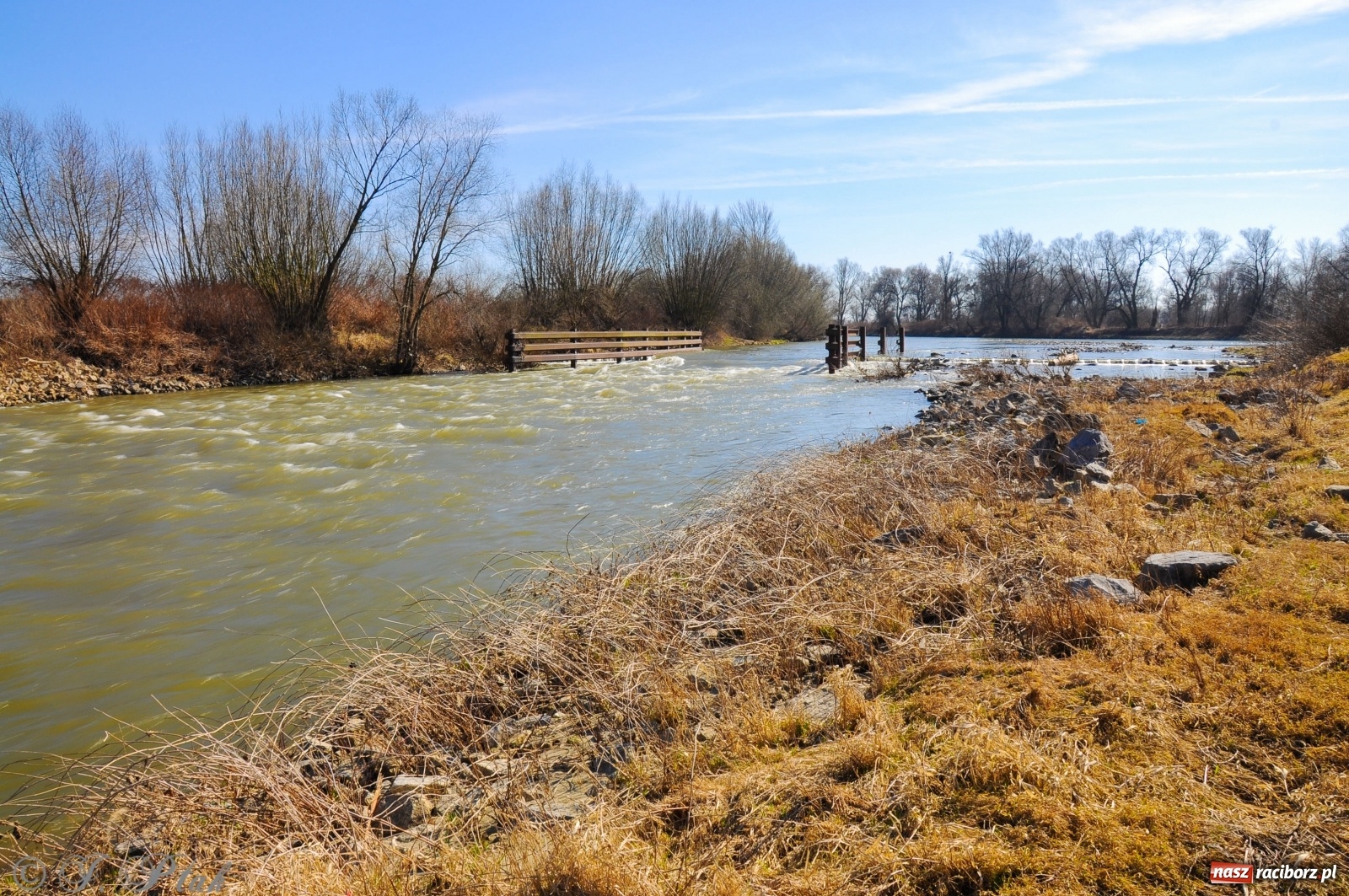 Zdjęcie w galerii na portalu naszraciborz.pl: To miejsce całkowicie zmieniło swoje oblicze [FOTO]  wiadomości z regionu
