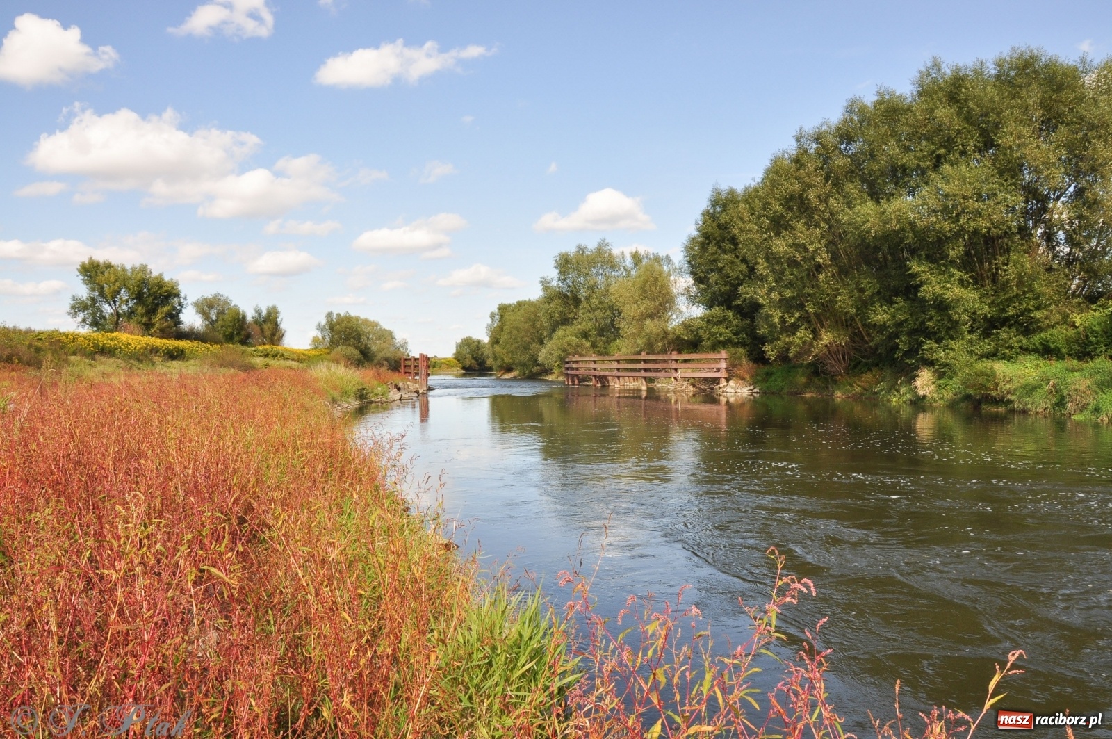 Zdjęcie w galerii na portalu naszraciborz.pl: To miejsce całkowicie zmieniło swoje oblicze [FOTO]  wiadomości z regionu
