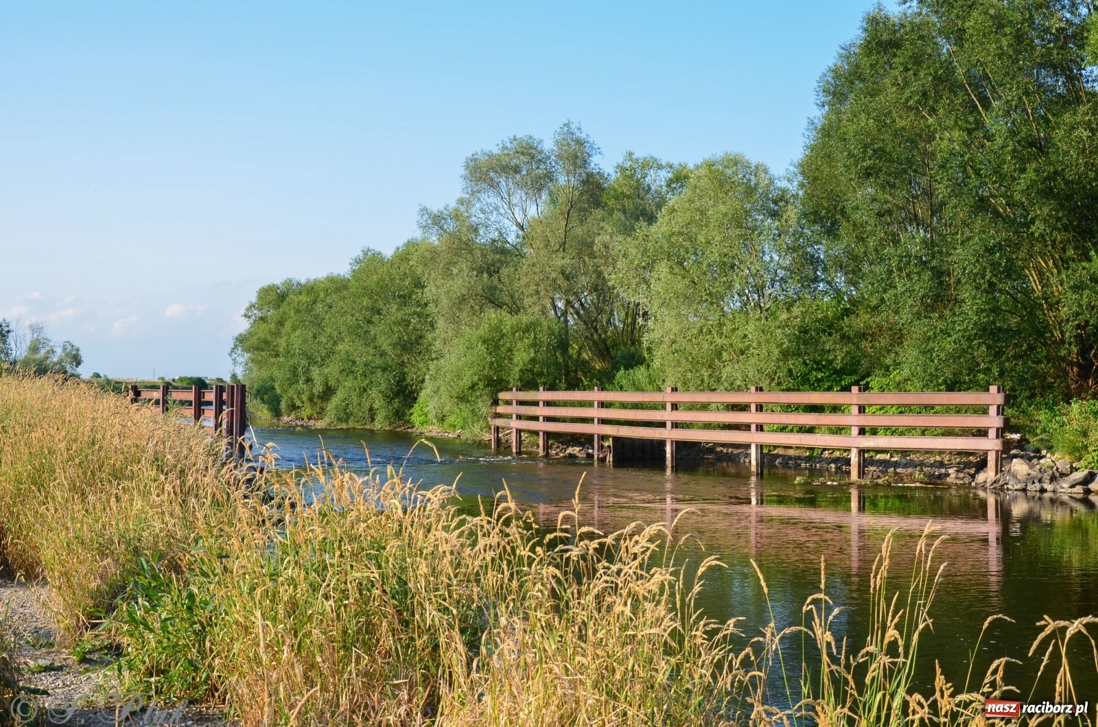Zdjęcie w galerii na portalu naszraciborz.pl: To miejsce całkowicie zmieniło swoje oblicze [FOTO]  wiadomości z regionu