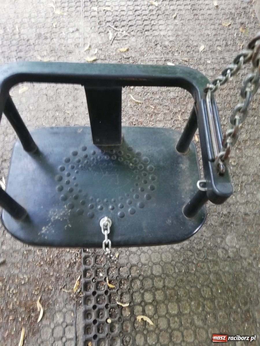 Zdjęcie w galerii na portalu naszraciborz.pl: Plac spisany na straty, martwy szczur i odpowiedź urzędu [FOTO] wiadomości z regionu