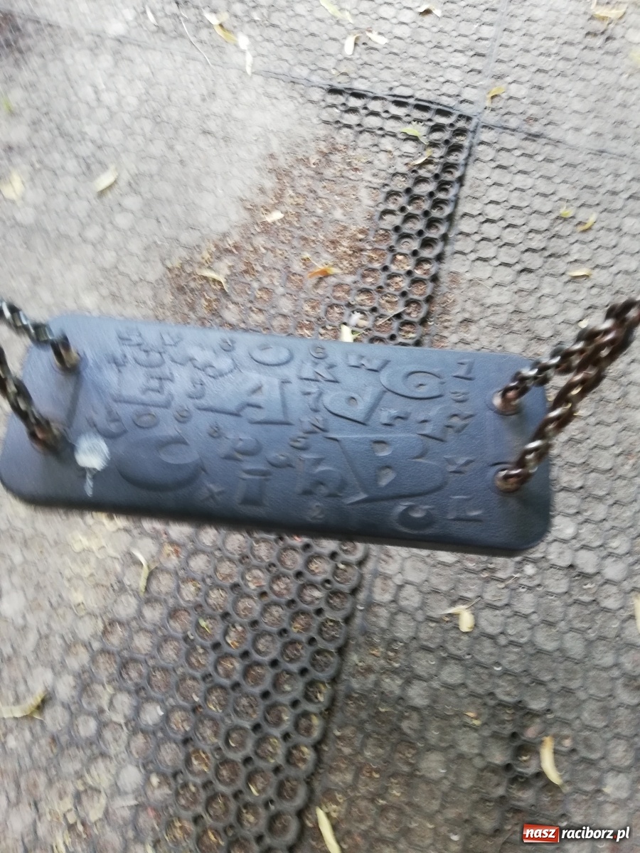 Zdjęcie w galerii na portalu naszraciborz.pl: Plac spisany na straty, martwy szczur i odpowiedź urzędu [FOTO] wiadomości z regionu