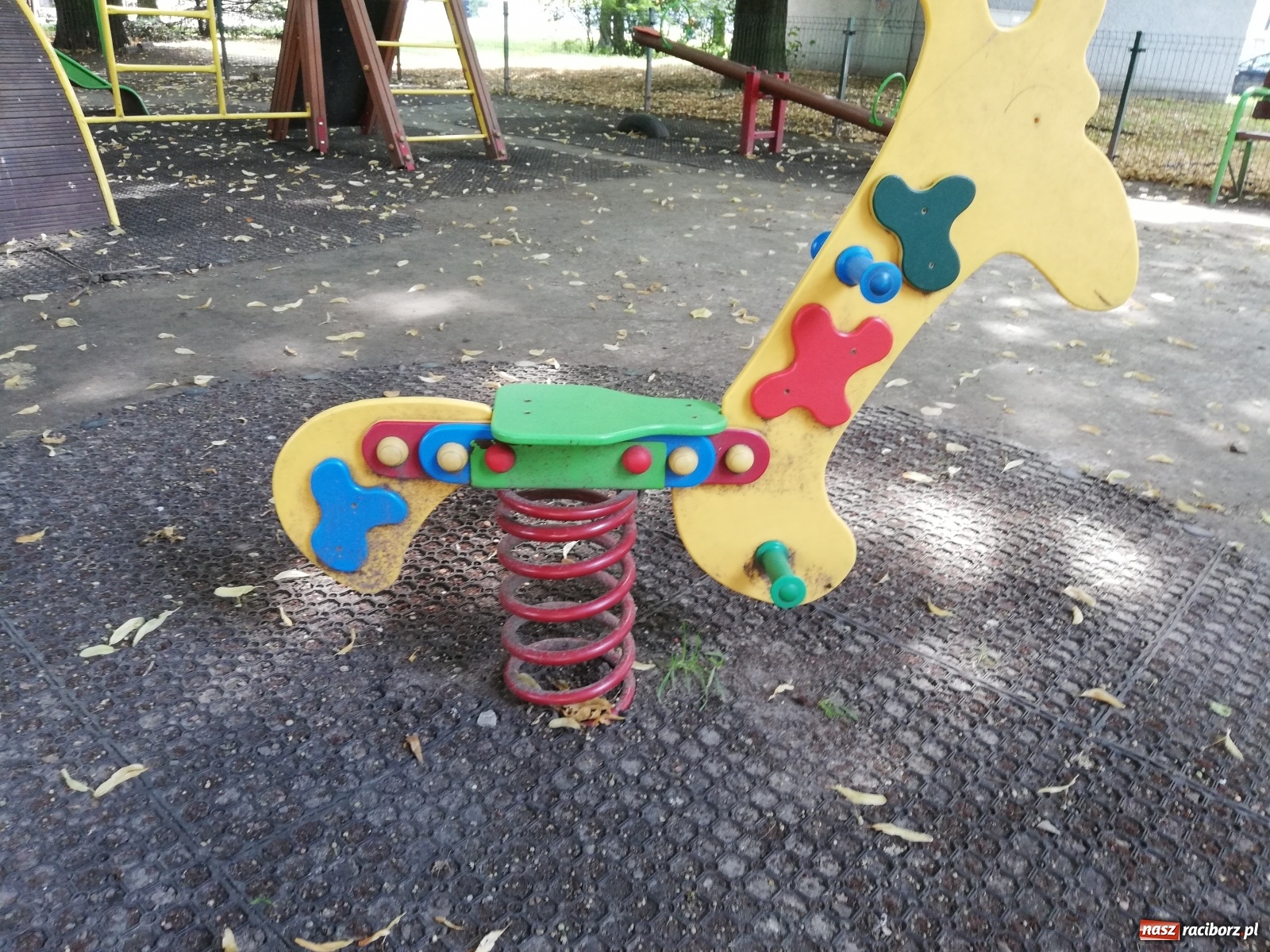 Zdjęcie w galerii na portalu naszraciborz.pl: Plac spisany na straty, martwy szczur i odpowiedź urzędu [FOTO] wiadomości z regionu