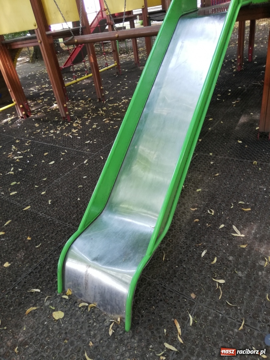 Zdjęcie w galerii na portalu naszraciborz.pl: Plac spisany na straty, martwy szczur i odpowiedź urzędu [FOTO] wiadomości z regionu