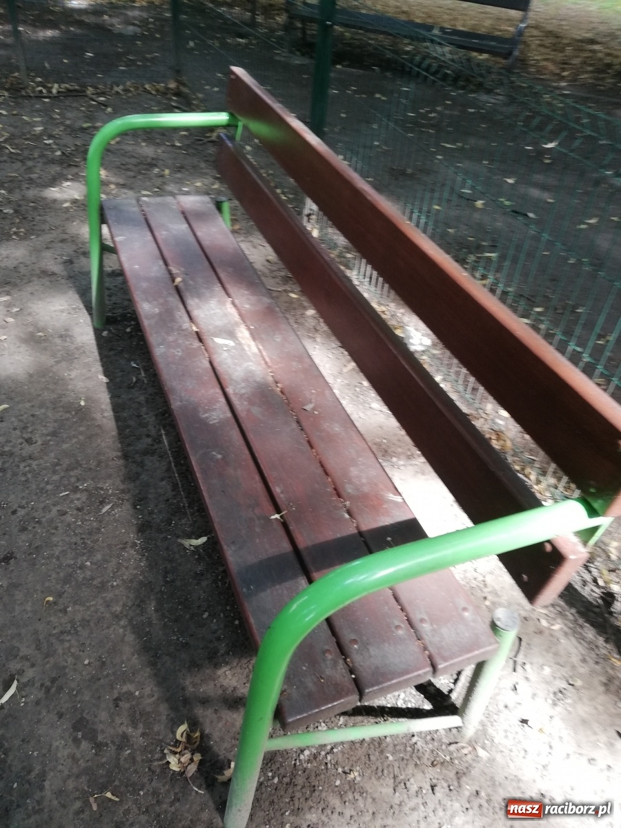 Zdjęcie w galerii na portalu naszraciborz.pl: Plac spisany na straty, martwy szczur i odpowiedź urzędu [FOTO] wiadomości z regionu