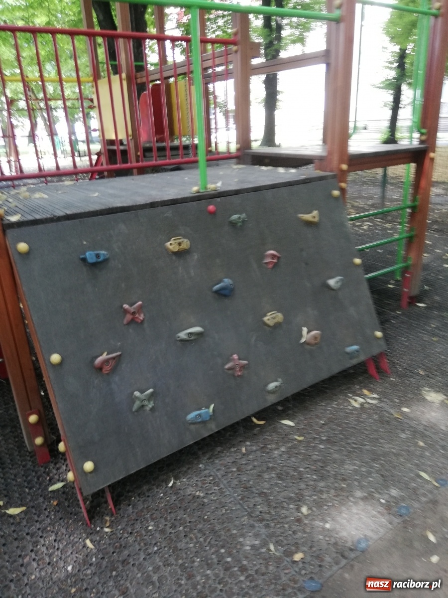 Zdjęcie w galerii na portalu naszraciborz.pl: Plac spisany na straty, martwy szczur i odpowiedź urzędu [FOTO] wiadomości z regionu