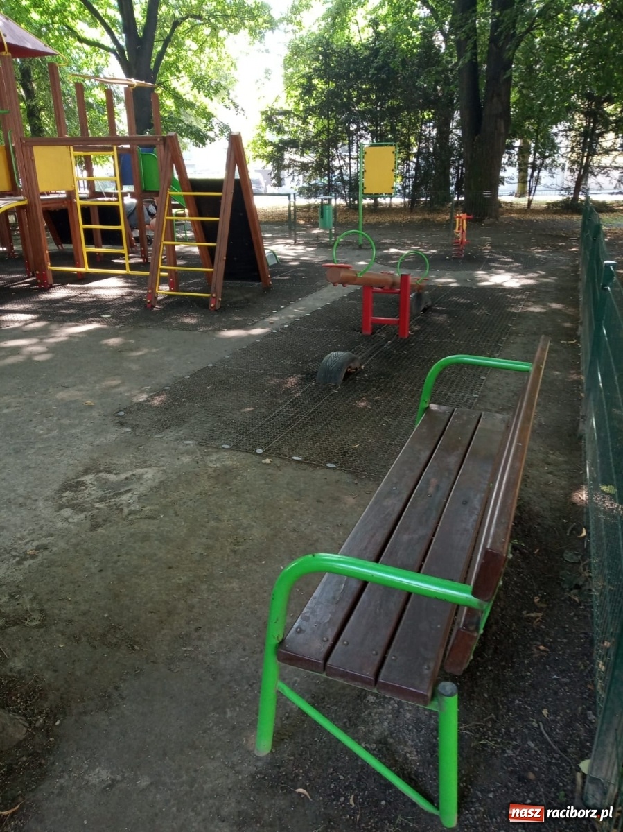 Zdjęcie w galerii na portalu naszraciborz.pl: Plac spisany na straty, martwy szczur i odpowiedź urzędu [FOTO] wiadomości z regionu