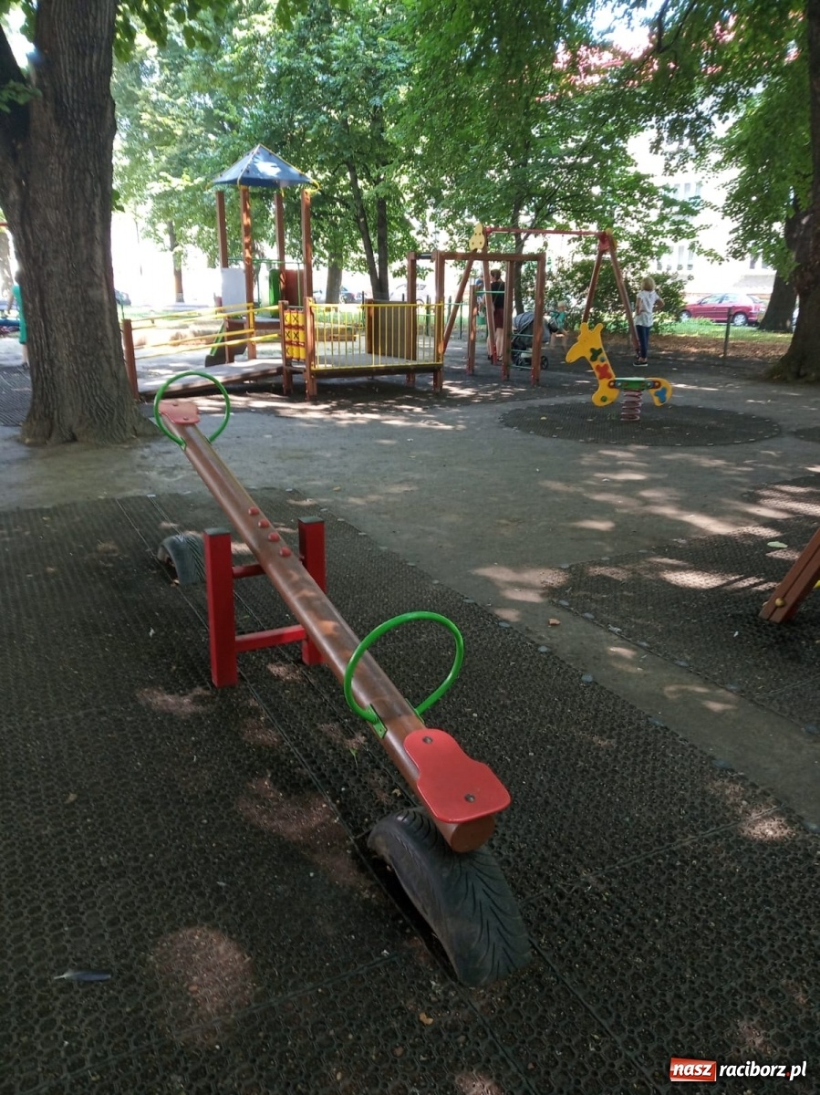 Zdjęcie w galerii na portalu naszraciborz.pl: Plac spisany na straty, martwy szczur i odpowiedź urzędu [FOTO] wiadomości z regionu