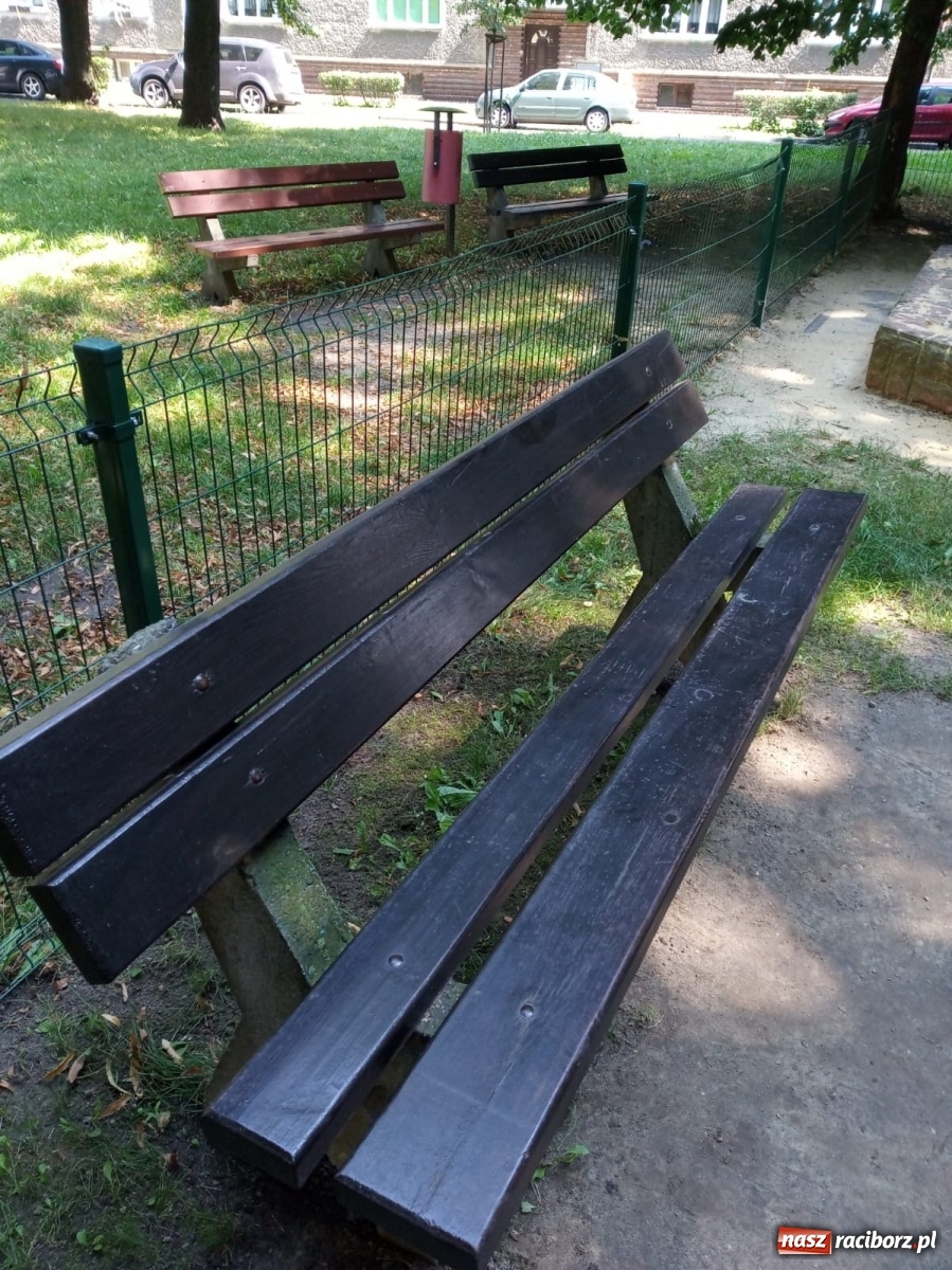 Zdjęcie w galerii na portalu naszraciborz.pl: Plac spisany na straty, martwy szczur i odpowiedź urzędu [FOTO] wiadomości z regionu