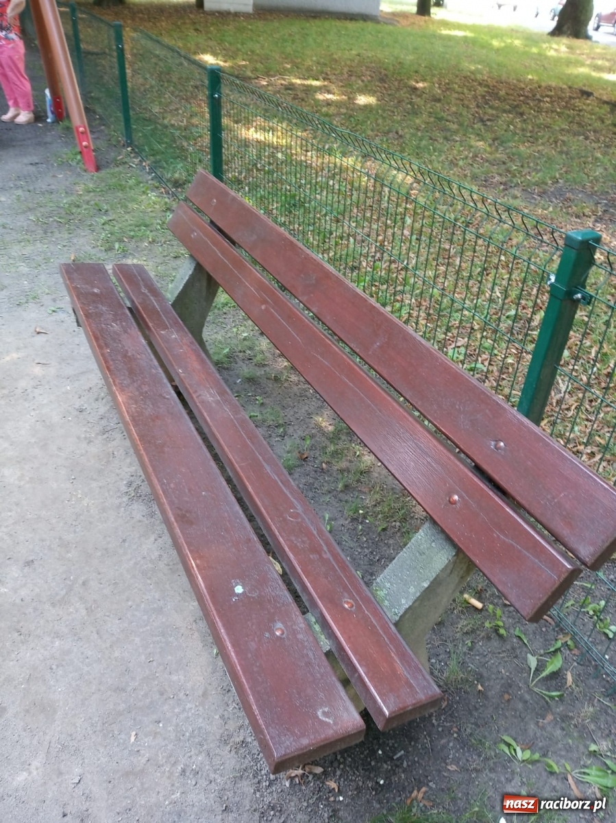 Zdjęcie w galerii na portalu naszraciborz.pl: Plac spisany na straty, martwy szczur i odpowiedź urzędu [FOTO] wiadomości z regionu