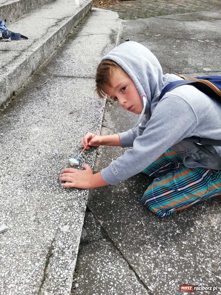 Zdjęcie w galerii na portalu naszraciborz.pl: Raciborskie wakacje z kompasem  wiadomości z regionu