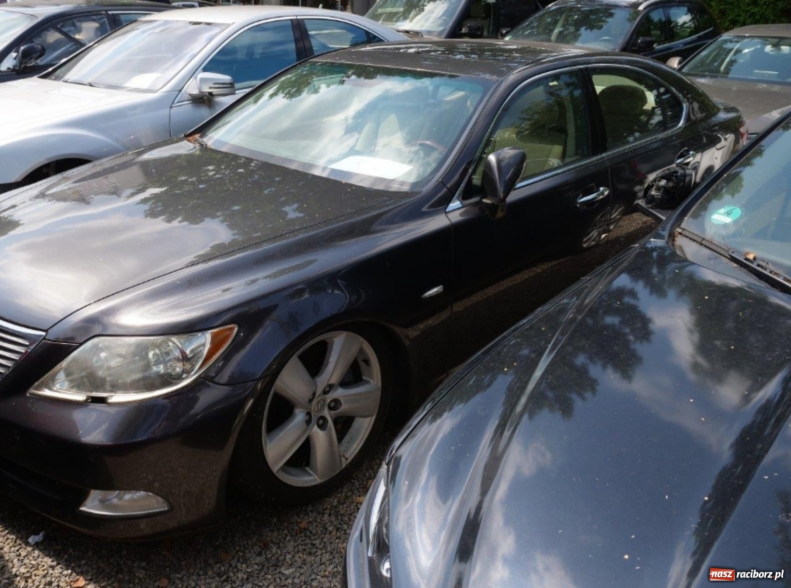 Zdjęcie w galerii na portalu naszraciborz.pl: Śląska skarbówka wystawiła na licytację markowe samochody  wiadomości z regionu