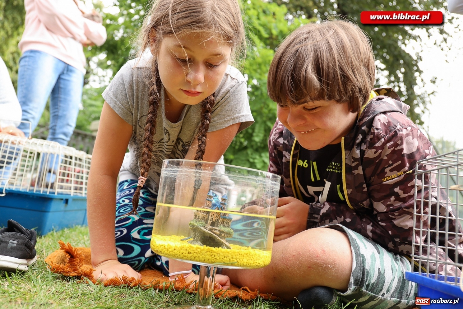 Zdjęcie w galerii na portalu naszraciborz.pl: Finał Lata dla niepełnosprawnych w bibliotece  wiadomości z regionu
