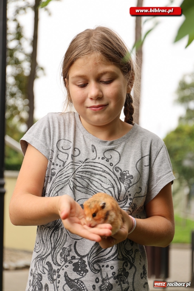 Zdjęcie w galerii na portalu naszraciborz.pl: Finał Lata dla niepełnosprawnych w bibliotece  wiadomości z regionu