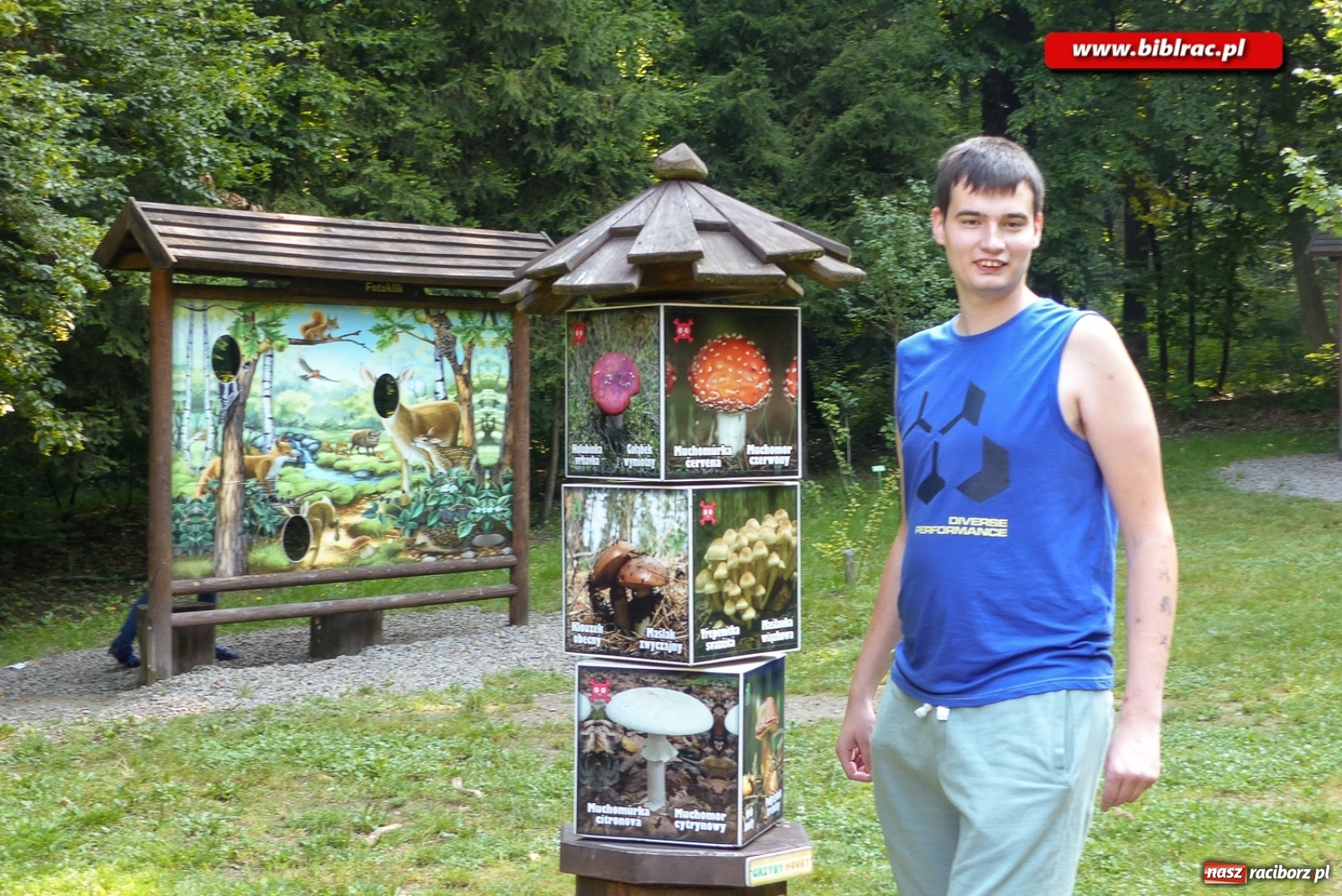 Zdjęcie w galerii na portalu naszraciborz.pl: Finał Lata dla niepełnosprawnych w bibliotece  wiadomości z regionu