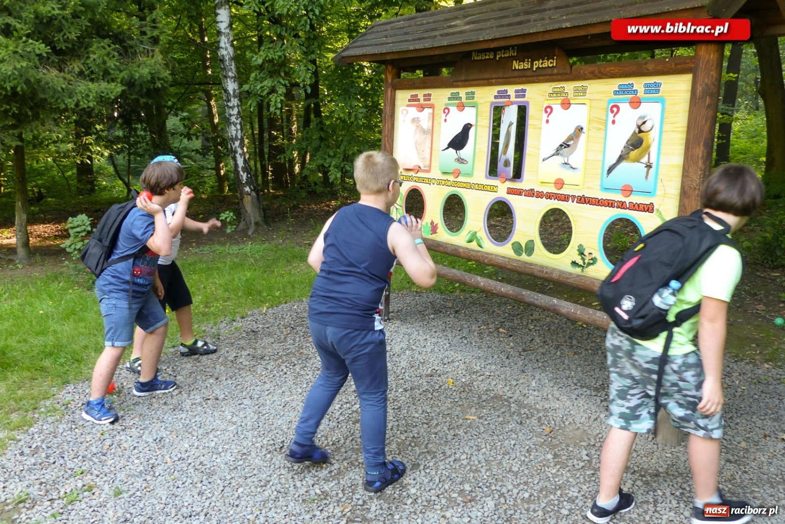 Zdjęcie w galerii na portalu naszraciborz.pl: Finał Lata dla niepełnosprawnych w bibliotece  wiadomości z regionu