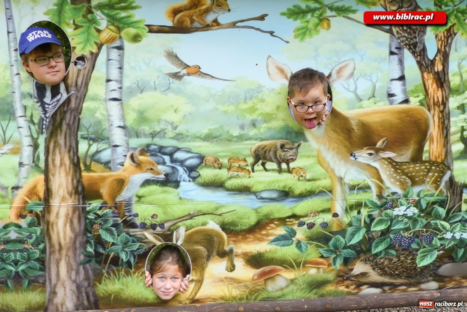 Zdjęcie w galerii na portalu naszraciborz.pl: Finał Lata dla niepełnosprawnych w bibliotece  wiadomości z regionu